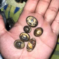 انواع نگین درجه یک