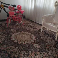 یه جفت فرش۱۲متری سورمه ای در حد نو تمیز