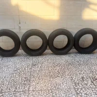 لاستیک کویر ۵۰ الی ۶۰ درصد ساینا