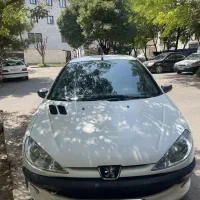 206 تیپ دو سالم بی خرج