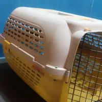 باکس حیوانات