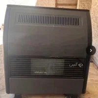 بخاری ادنیس