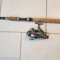 چوب و چرخ کپوری امریکایی