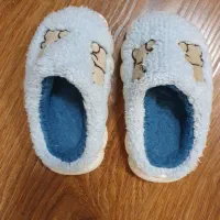 کفش و دمپایی از برند