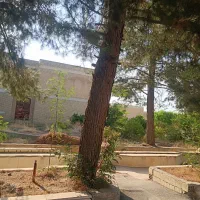 چوب باغی شمارابابهترین قیمت خریداریم