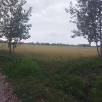 4000-متر-زمین-زراعی-حیدرزاده