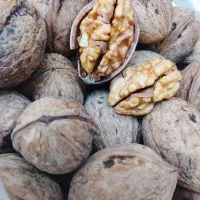 خشکبار اسلامی