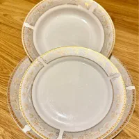 سرویس چینی|سرویس روتختی|تهران, بهارستان|دیوار