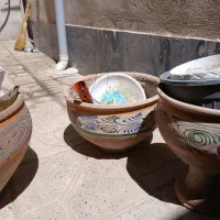 گلدان|گل و گیاه طبیعی|ملارد, |دیوار