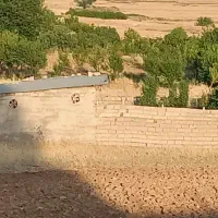 زمین-کشاورزی