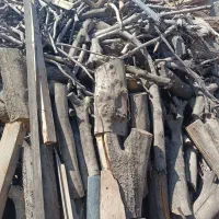 چوب بری قطع و هرس درخت