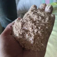 سبوس گندم
