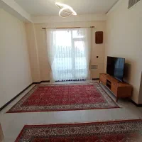 «دپارتمان دیبا» ۶۶ متری بی نظیر/سندتک برگ