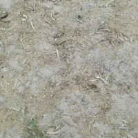 فروش-زمین-فرهیختگان