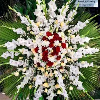 تاج گل گل آپارتمانی و شاخه ای  هم آنلاین یا حضوری