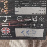 فرش|فرش|بندر انزلی, آذربایجان|دیوار
