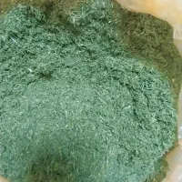 شوید خشک شده درجه یک