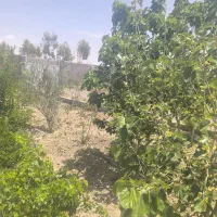 600مترباغ نیمه کاره خوش جا