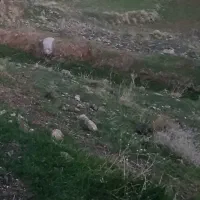 ۲۰۰متر زمین صنعتی