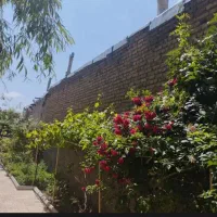 خونه در داخل روستا
