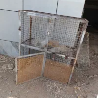 قفس پرنده