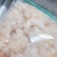 فروش میگو سر تیز و درشت