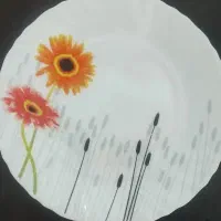 سرویس آرکوپال