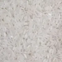 برنج کشت پاکستانی