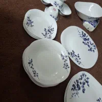 ۳ دست سرویس آرکوپال دینو