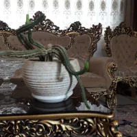 ۲ عدد گلدان