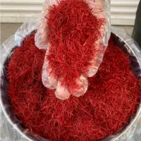 زعفران سرگل