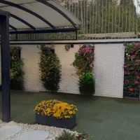 اجاره لاین در کلینیک زیبایی