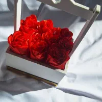 باکس گل ربانی/هدیه