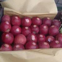 به تعدادی فروشنده خانم نیازمندیم