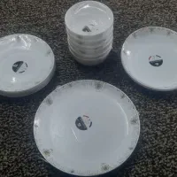 فروش ظروف فرانسوی درجه یک