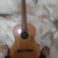 گیتار pao chio