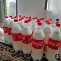 دوغ گوسفندی چرب و خوشمزه