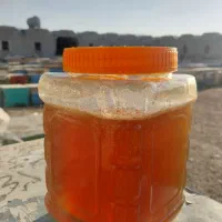 عسل گشنیز باکیفیت عالی خوش طعم وخوش رنگ