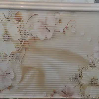 پرده زبرا دو مکانیزه