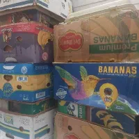 کارتن موز
