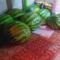 هندوانه سرباری