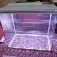 آکواریوم  ال ای دی و دماسنج دار