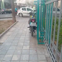 هوندا ۲۰۰ نیکتاز وحشی