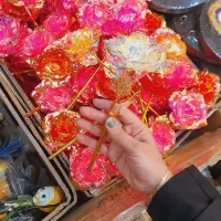 گل های رز خارجی رنگی اک