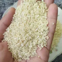 برنج نیم دانه