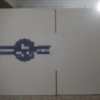 کارتن