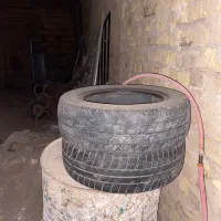 لاستیک پراپد