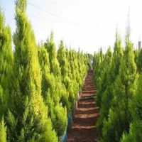 فروش-زمین-باغچه