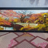 قاب عکس|تابلو، نقاشی، عکس|شوش, |دیوار