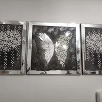 قاب آینه و پروانه